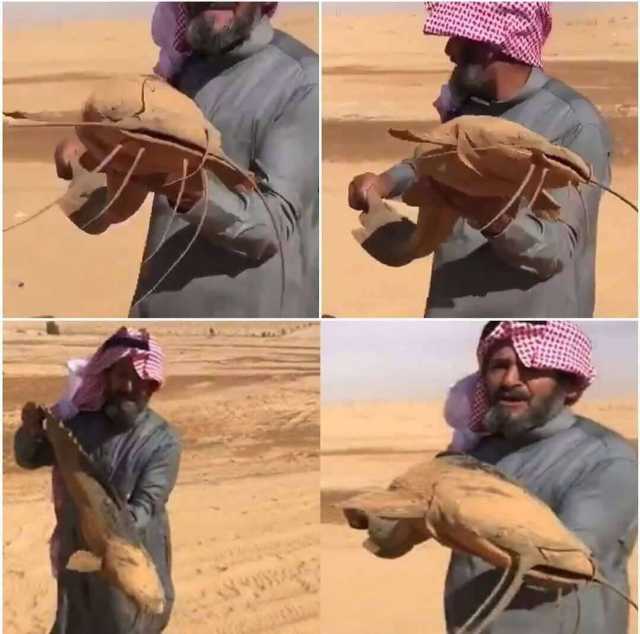 لا ترى ولا تتنفس كالبشر.. تعرّف على السمكة التي تعيش في الصحراء