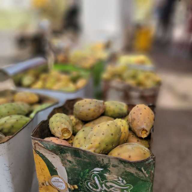 ماذا يحصل لجسمك عند تناول التين الشوكي على الريق؟: اكتشف الفوائد والمخاطر المفاجئة