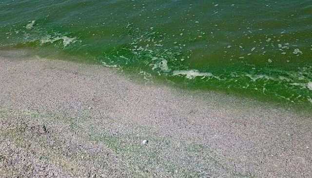 حل لغز تحول مياه البحر في مصر من الأزرق إلى الأخضر.. ما علاقة زلزال المغرب؟