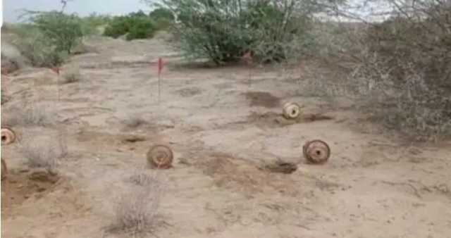 تفكيك حقل الغام زرعتها المليشيا في قرية الحمينية شمال غربي حيس بالحديدة