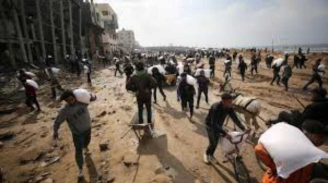 الصحة الفلسطينية تكشف عن 100قتيل فلسطيني أثناء محاولتهم الحصول على الغذاء في غزة