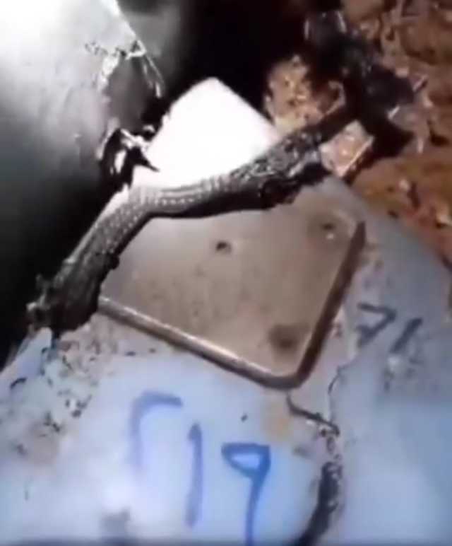 مقاطع توثيقية تتسبب في اعتقالات حوثية تعسفية في المحويت