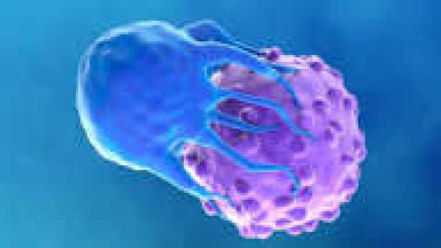 العلاج المناعي.. ثورة طبية تقلب موازين معركة السرطان