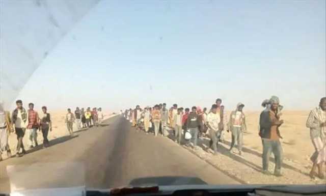 وصول أعداد كبيرة من المهاجرين الأفارقة إلى شبوة (صورة)