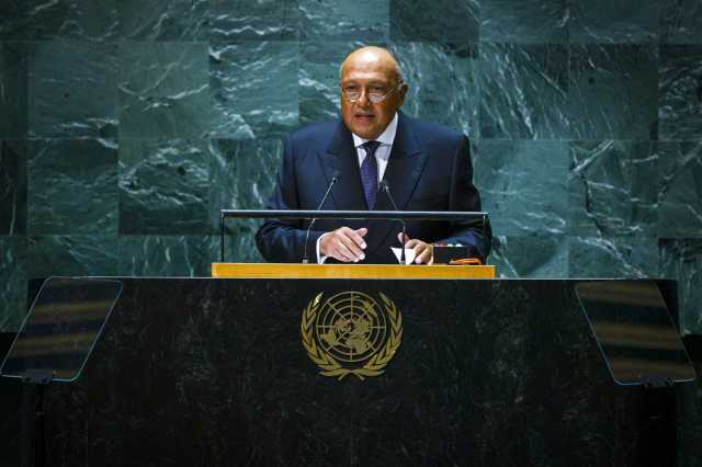 شكري: مصر «أمام أزمات مركبة لا يد لها فيها»