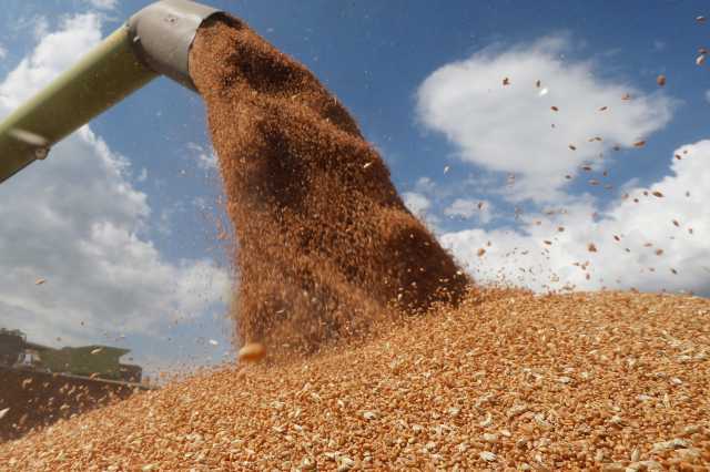 صادرات الحبوب الأوكرانية تصل إلى 1.57 مليون طن متري