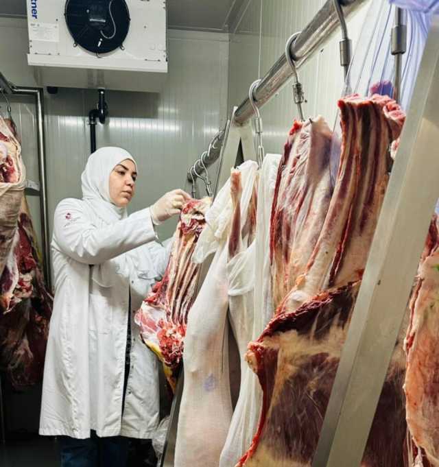 البلديات ترفع جاهزيتها لاستقبال عيد الأضحى المبارك