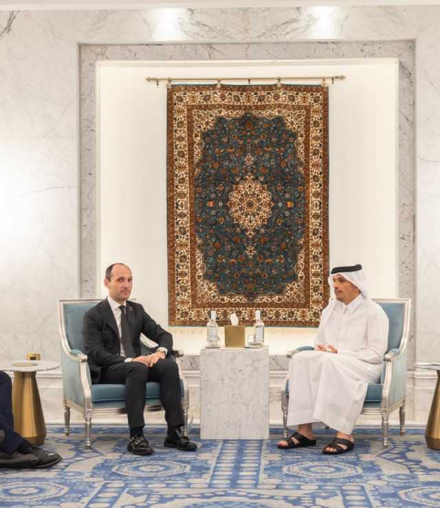 رئيس مجلس الوزراء وزير الخارجية يستقبل النائب الأول لرئيس الوزراء في جورجيا