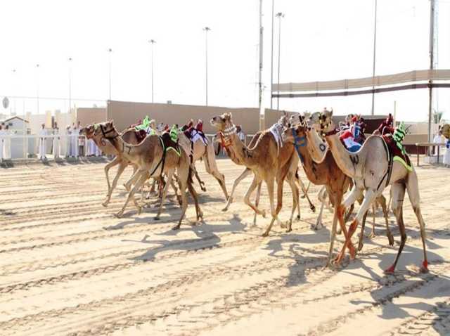 انطلاق النسخة الثانية من مهرجان المفاريد الصيفي في 14 يونيو المقبل