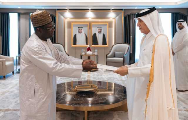 وزير الدولة للشؤون الخارجية يتسلم نسخة من أوراق اعتماد سفير النيجر