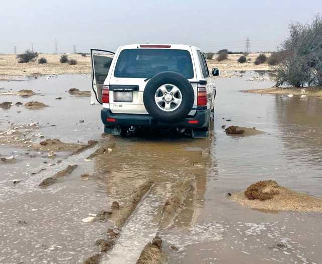 ضبط مخالفة دهس الحشائش في الجميلية