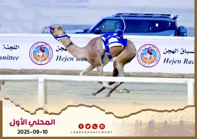 إثارة وندية بين الهجن في منافسات سن اللقايا