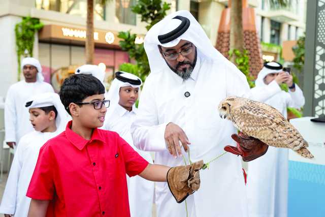 «البيئة»: قطر محطة رئيسية في هجرة العديد من الطيور