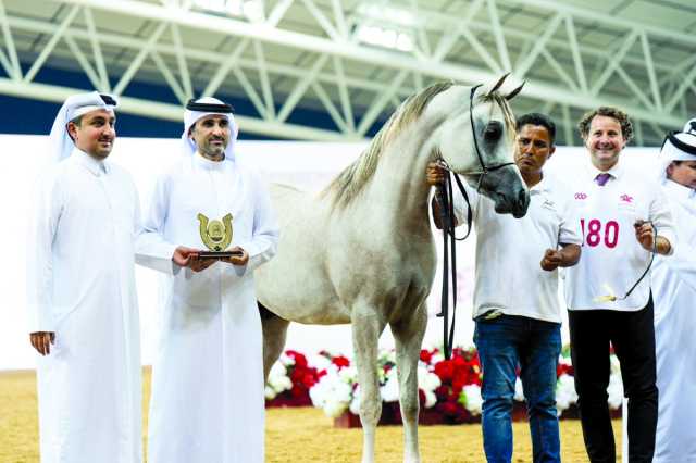 منافسات قوية في بطولة الشقب الدولية لجمال الخيل