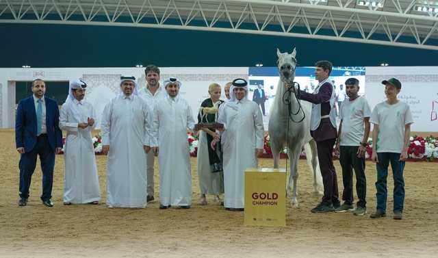 ختام مميز لمنافسات بطولة الشقب الدولية لجمال الخيل العربية الأصيلة 2025