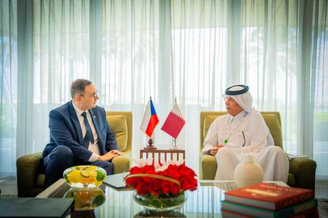 وزير الدولة للشؤون الخارجية يجتمع مع وزير خارجية التشيك