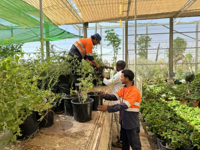 حديقة القرآن النباتية توزّع خمسة آلاف شجرة برية دعماً لاستدامة الغطاء النباتي في قطر