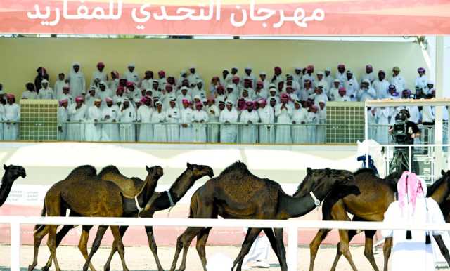 ختام مميز لمهرجان التحدي للمفاريد