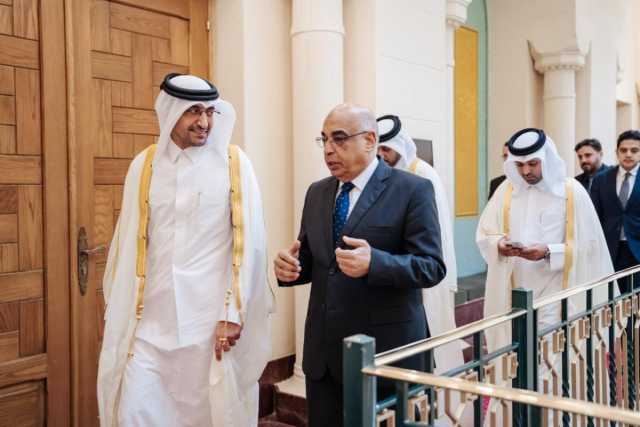 وزير العدل يستعرض مع نظرائه في مصر والسودان وسوريا علاقات التعاون القانوني