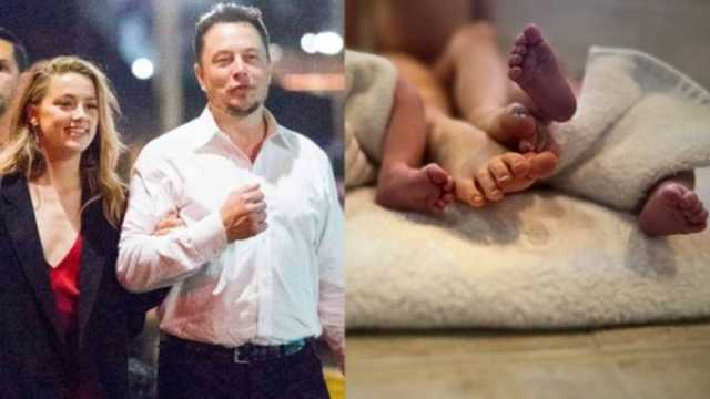 هل إيلون ماسك هو والد توأم آمبر هيرد؟