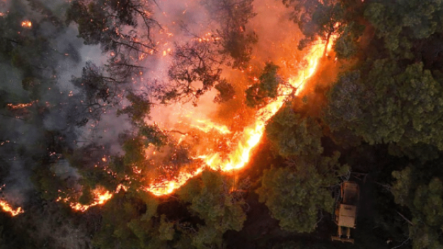 حرائق اللاذقية تحت السيطرة: تنسيق إقليمي واسع وإسناد جوي عربي