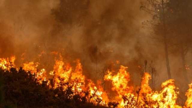 سوريا: حرائق ضخمة تقترب من قصر الرئاسة