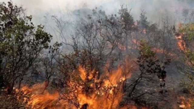 وقف امتداد النيران في ريف اللاذقية الشمالي.. واستمرار عمليات التبريد