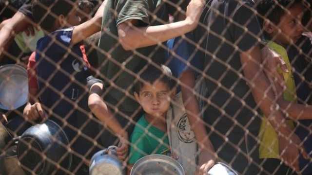 لا أحد يموت جوعًا مثلٌ عربي يكذبه الواقع في غزة