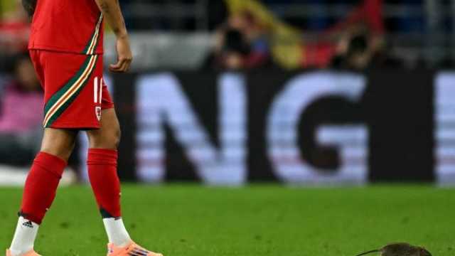 في لقطة طريفة..نجم ريال مدريد يتحول إلى صائد فئران في مباراة لمنتخب بلاده