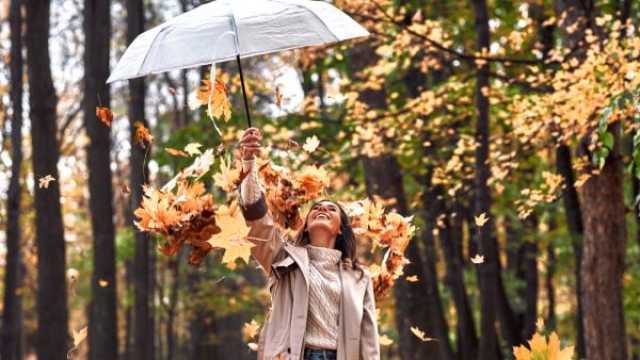 شعر عن شهر نوفمبر