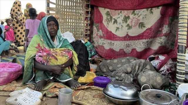 نزوح جماعي من الفاشر.. والأمم المتحدة تحذر من “إبادة صامتة” في دارفور