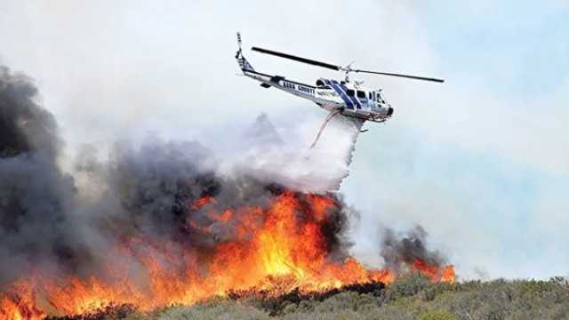 نداءات استغاثة.. حريق يلتهم غابات إيرانية تمتد مئات الكيلومترات