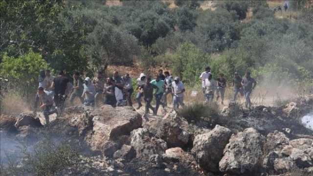 إصابة فلسطيني و4 أجانب في اعتداءات وحشية لمستوطنين