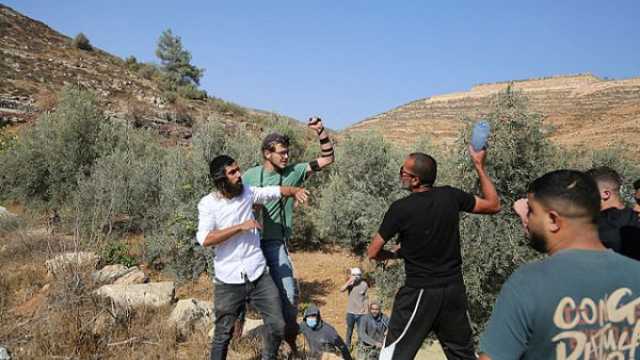 موسم الزيتون يتحول إلى ساحة رعب: عنف المستوطنين يتصاعد في الضفة