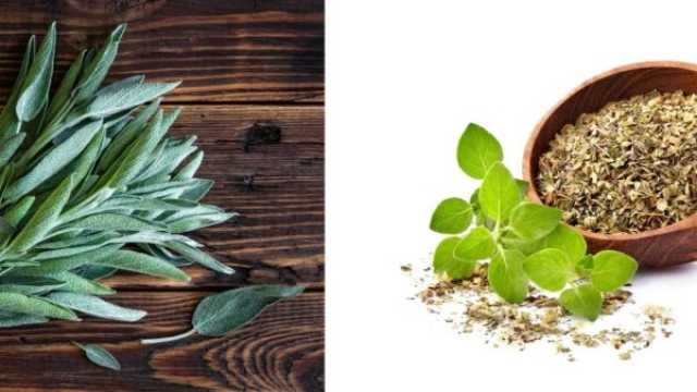 فوائد الميرمية والبردقوش للهرمونات