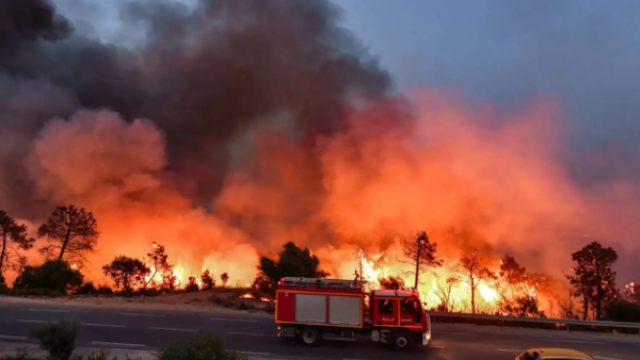 الجزائر تستغيث: 22 حريق في 8 ولايات وإجلاء عاجل لسكان تيبازة