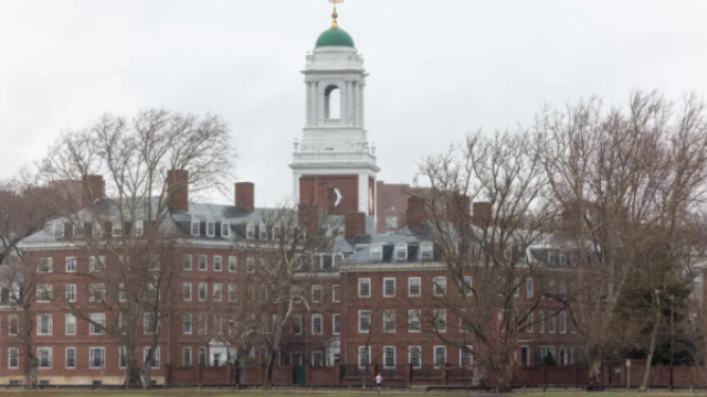 استعداداً لزوال الكيان الإسرائيلي: هارفرد تجمع ذاكرة إسرائيل في مخزن سري