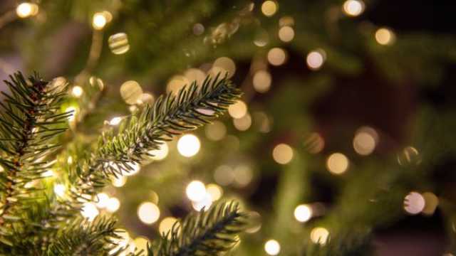 تفسير رؤية شجرة الكريسماس بدون زينة في المنام