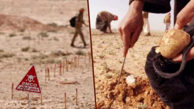 سوريا: مقتل 13 مدنيا في ريف الرقة