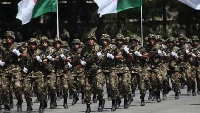 الجزائر: قتلى في تحطم طائرة عسكرية