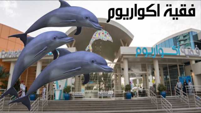 أفضل 7 أنشطة رائعة في فقيه اكواريوم جدة لا تفوتك