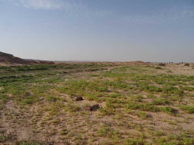 هيئة البيئة – أبوظبي تعلن عن بدء موسم الرعي في الإمارة