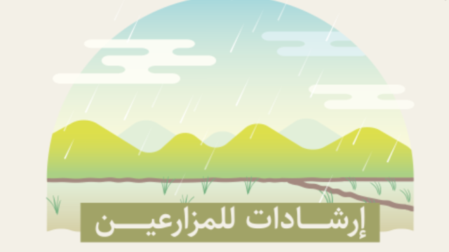 إرشادات لحماية الإنتاج الزراعي والثروة الحيوانية بعد الأمطار