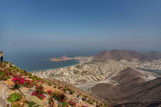 مهرجان المانجو ينطلق في «إكسبو خورفكان» اليوم