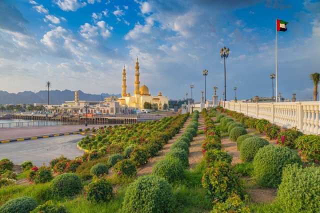 «عادات رمضانية» في مجلس دبا الحصن