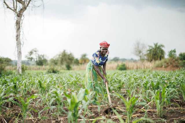بدعم «إكويتي».. «إيفاد» يطلق آلية تمويل لدعم منتجي الأغذية بشرق إفريقيا