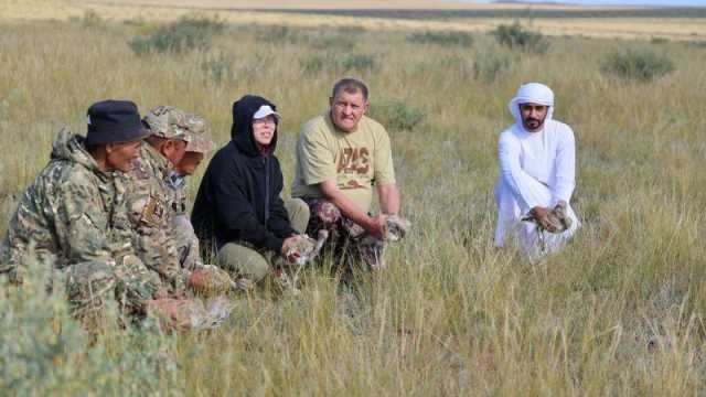 الإمارات تطلق 48 حبارى في جمهورية توفا