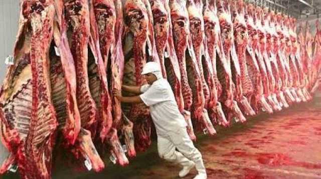 أكثر من (45) مليون دولار استيرادات العراق من اللحوم الاسترالية خلال العام الماضي