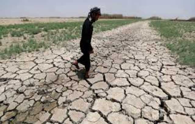 الخدمات النيابية:العراق مهدد مائيًا من قبل إيران وتركيا