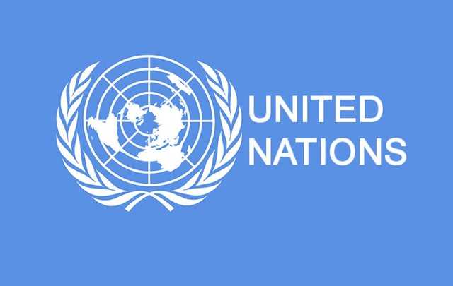 الأمم المتحدة تشيد بمستوى تنظيم التصويت الخاص